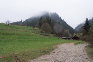 DSC_8580