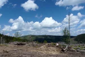 P1160380