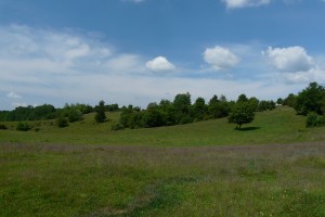 P1160408
