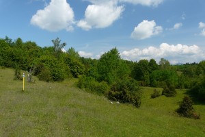 P1160409