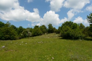 P1160410