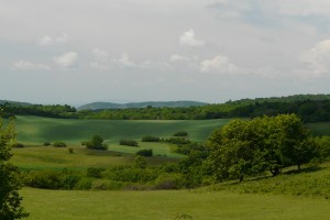 P1160417