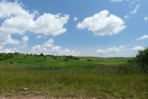 P1160419
