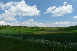P1160423