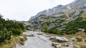 P1040025