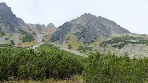 P1040029