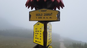 20160709 135311-1 