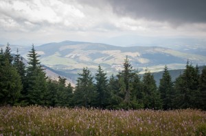 seba DSC 9216