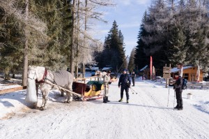 170211 09 15 17-DSC 2784 seba   